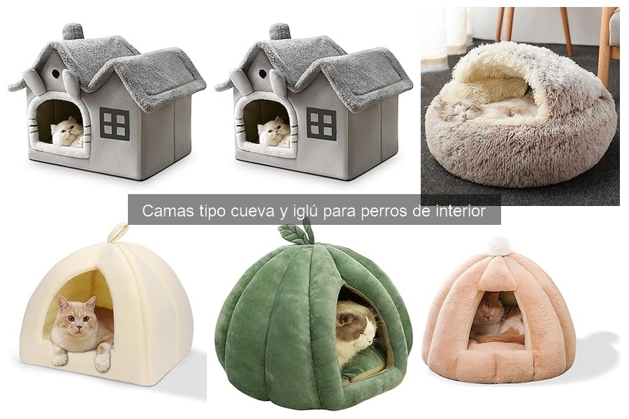 Problemas comunes con camas tipo cueva para perros