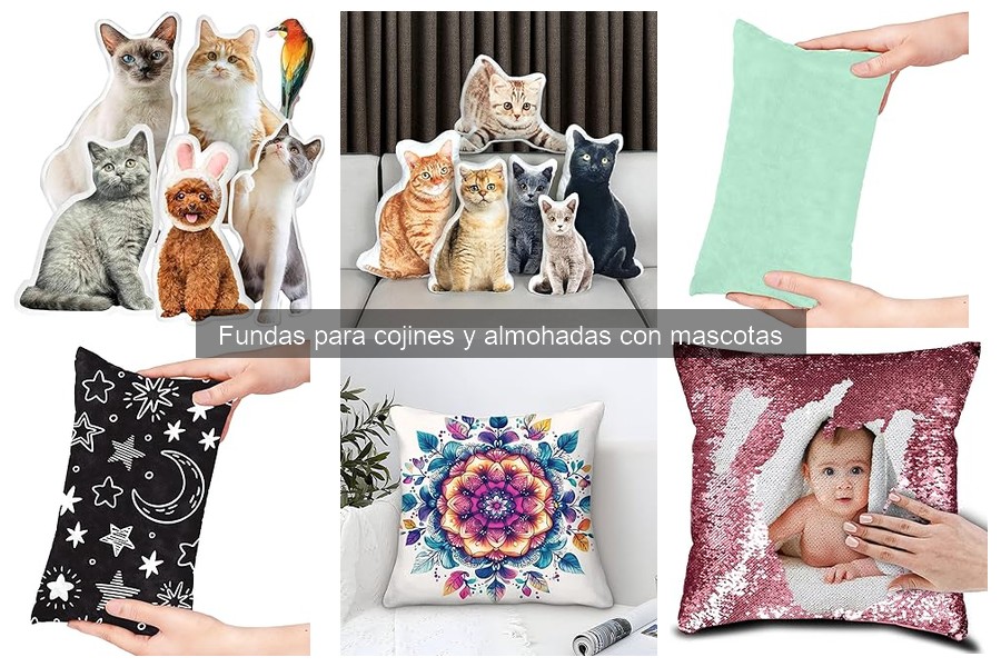 Problemas comunes con fundas de cojines para mascotas