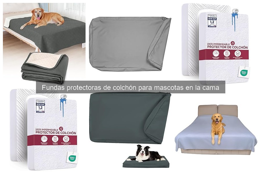 Problemas comunes con fundas protectoras de colchón para mascotas