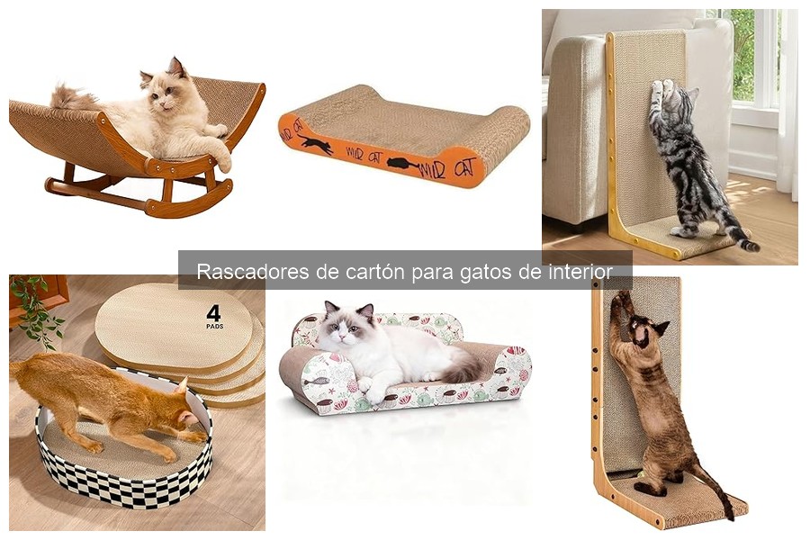 Problemas Comunes con Rascadores de Cartón para Gatos