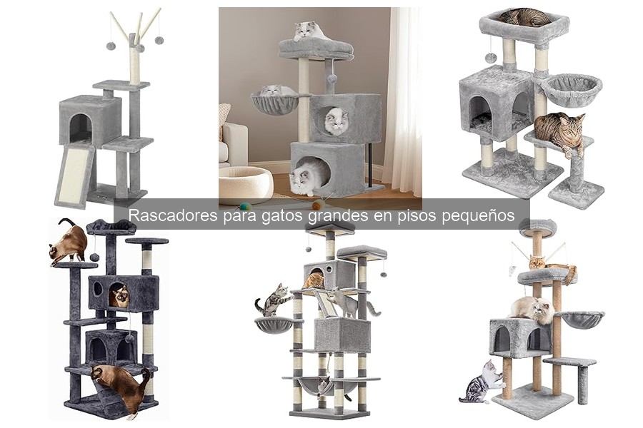 Problemas comunes con rascadores para gatos grandes