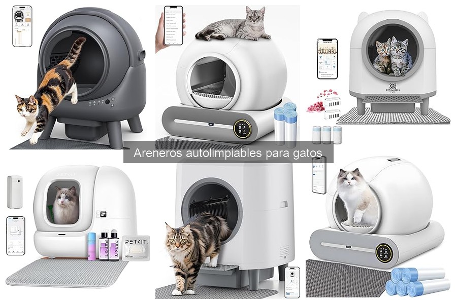 Problemas Comunes de Areneros Autolimpiables y Soluciones