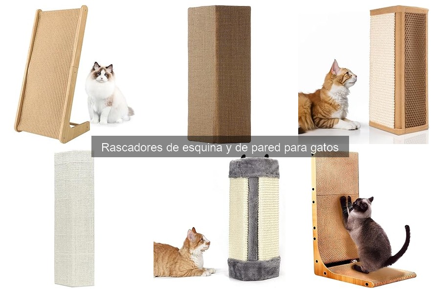 Problemas comunes de rascadores de esquina para gatos