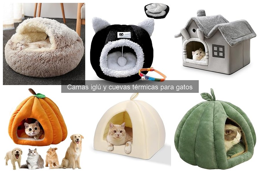 Problemas con camas iglú para gatos y sus soluciones efectivas