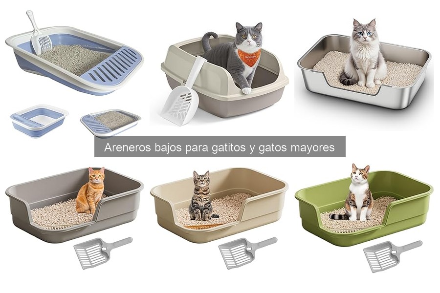 Problemas frecuentes con areneros bajos para gatos y soluciones