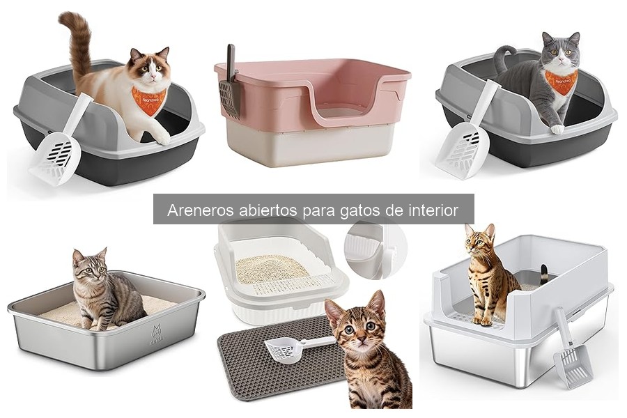 ¿Qué es un arenero abierto para gatos? Características y ventajas