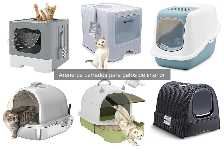 ¿Qué es un arenero cerrado para gatos? Características y ventajas
