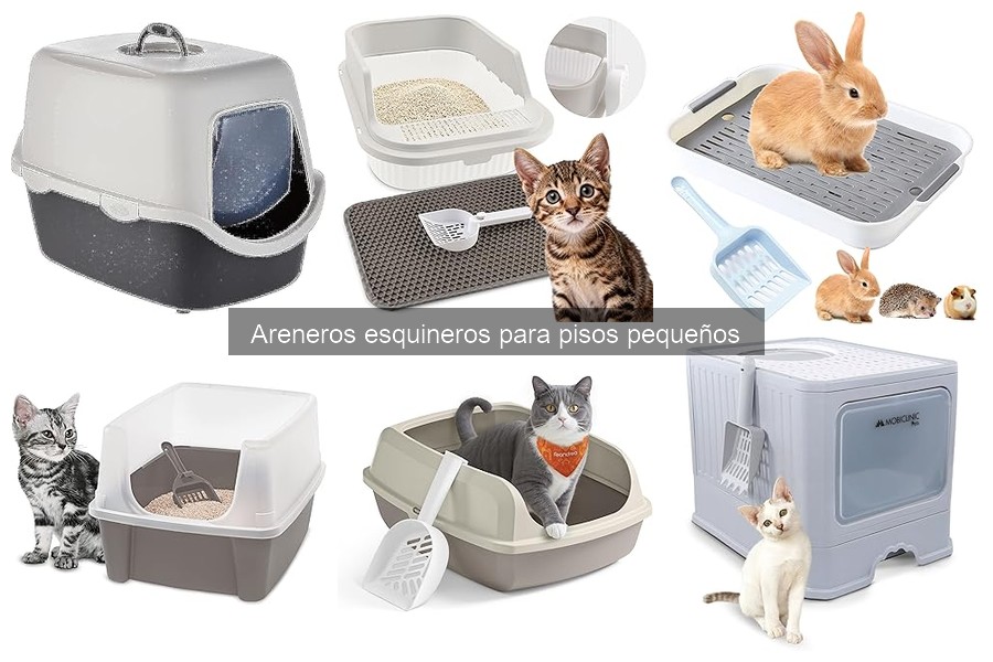 ¿Qué es un arenero esquinero? Características y beneficios