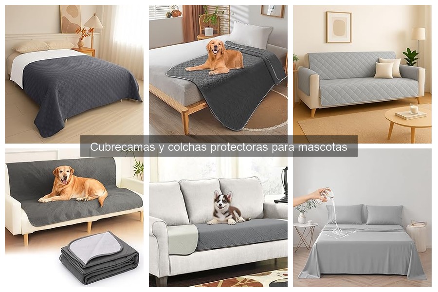 ¿Qué es un cubrecamas para mascotas? Descubre sus beneficios