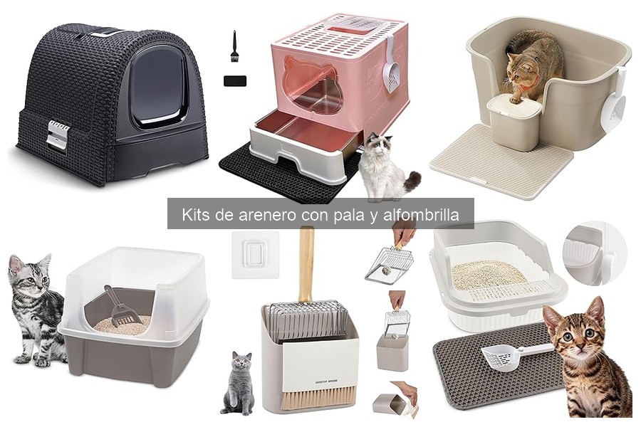 ¿Qué es un kit de arenero con pala y alfombrilla?