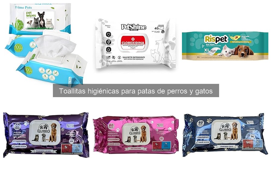 ¿Qué son las toallitas higiénicas para patas de mascotas?