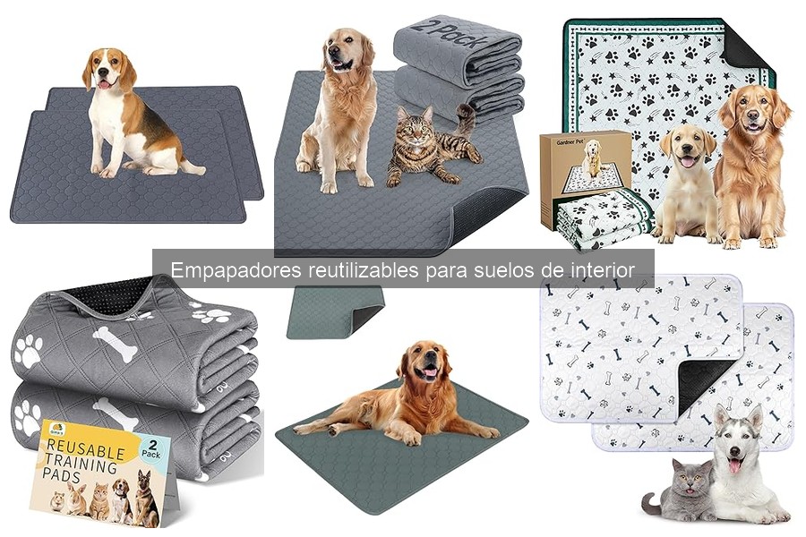 ** ¿Qué son los empapadores reutilizables para suelos de interior?