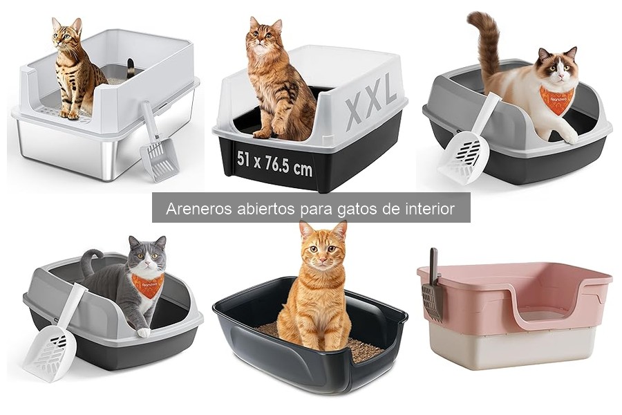 ¿Qué tamaño de arenero abierto necesita tu gato?