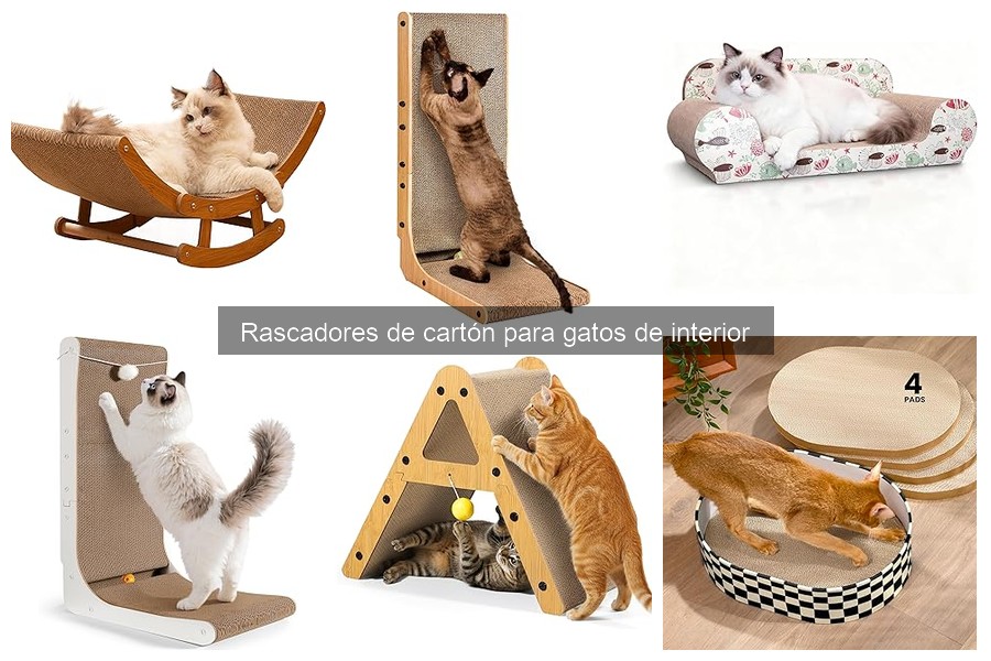 Rascadores de cartón para gatos: opiniones y reseñas 2023