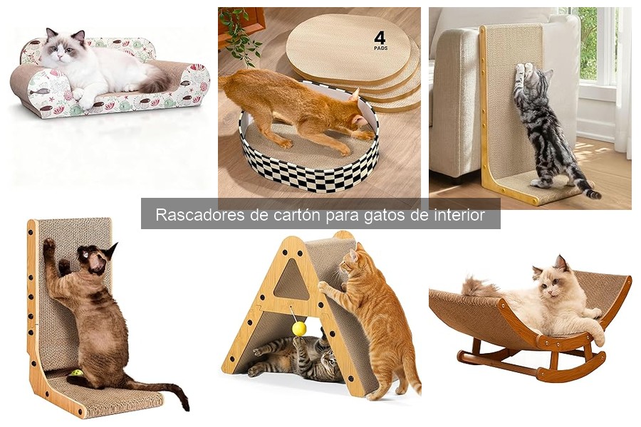Rascadores de cartón para gatos: ¿qué son y sus beneficios?