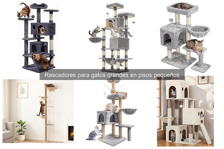 ** Rascadores para gatos grandes: alternativas para espacios pequeños
