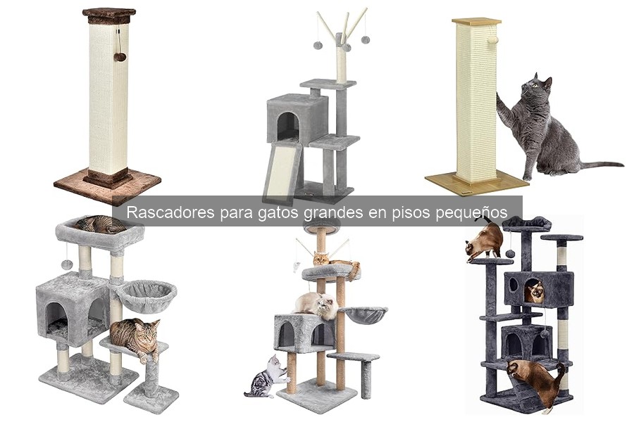 Rascadores para gatos grandes: características y beneficios