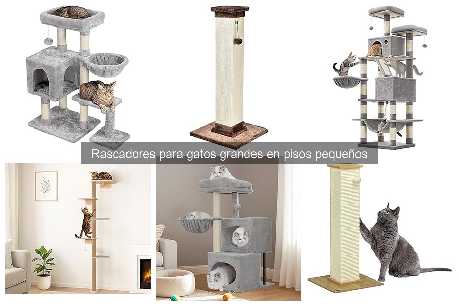 Rascadores para gatos grandes: evita que no los usen