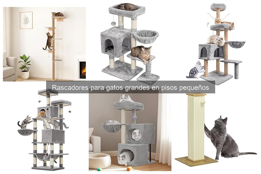 Rascadores verticales para gatos grandes en pisos pequeños