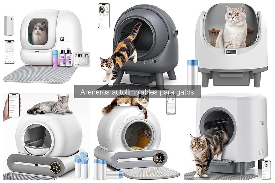 Seguridad en Areneros Autolimpiables para Gatos: ¿Son Fiables?