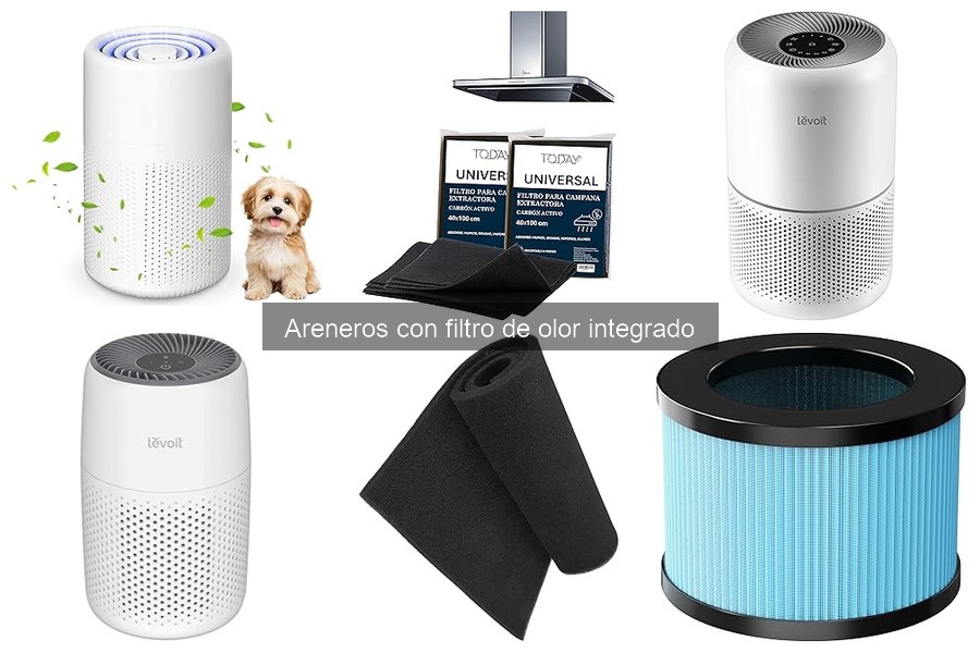 Soluciones a Problemas Comunes con Areneros con Filtro de Olor