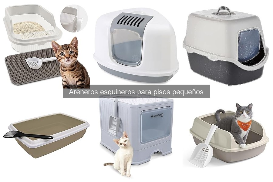 Soluciones a Problemas Comunes con Areneros Esquineros