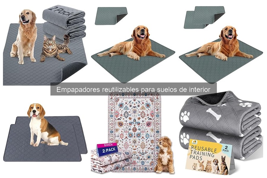 Soluciones a Problemas Comunes de Empapadores Reutilizables