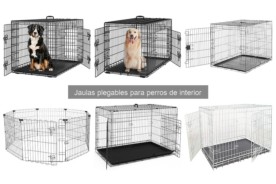 Soluciones a problemas comunes de jaulas plegables para perros