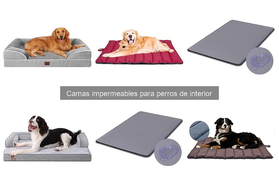 ¿Son efectivas las camas impermeables para perros?