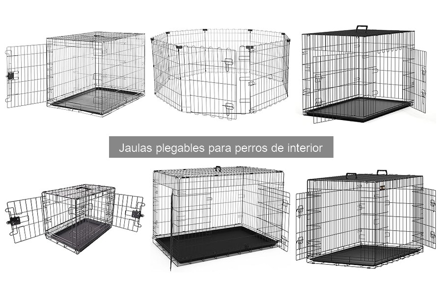 ¿Son seguras las jaulas plegables para perros? Análisis