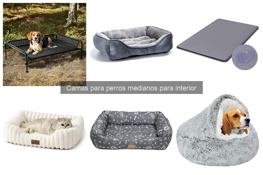 Testimonios sobre camas para perros medianos en casa