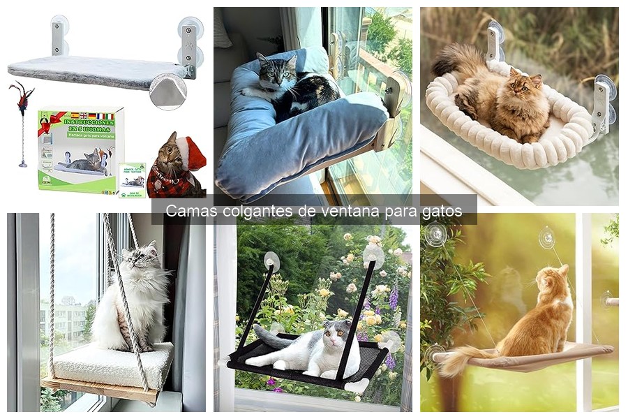 Tipos de camas colgantes de ventana para gatos: guía completa