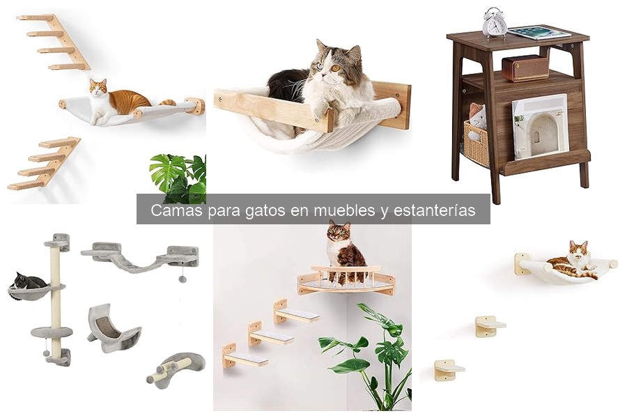 Tipos de camas para gatos en estanterías y muebles