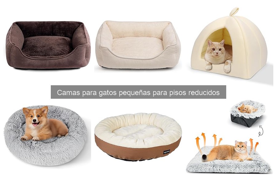 Tipos de camas para gatos pequeñas en pisos reducidos