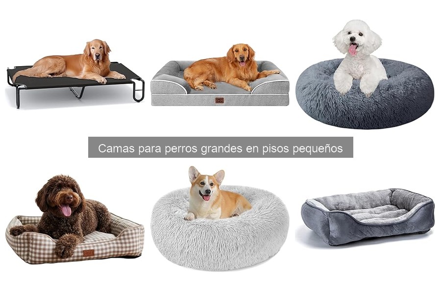 Tipos de camas para perros grandes en pisos pequeños