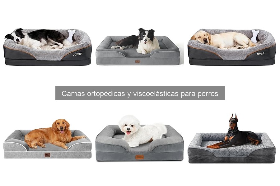 Top 5 marcas de camas ortopédicas para perros en 2023