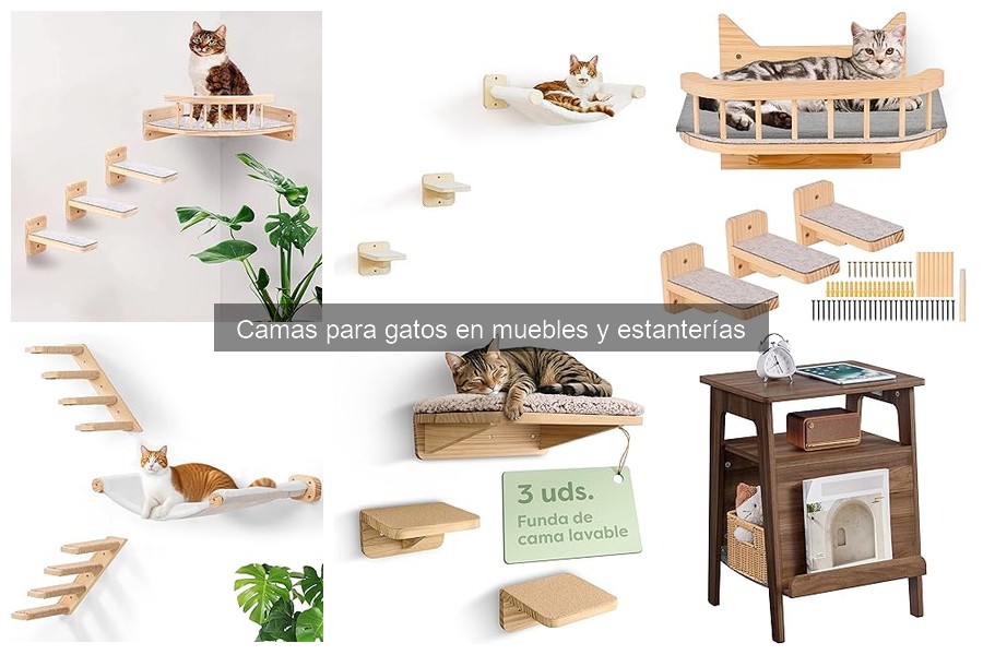 Ventajas de camas para gatos en muebles y estanterías