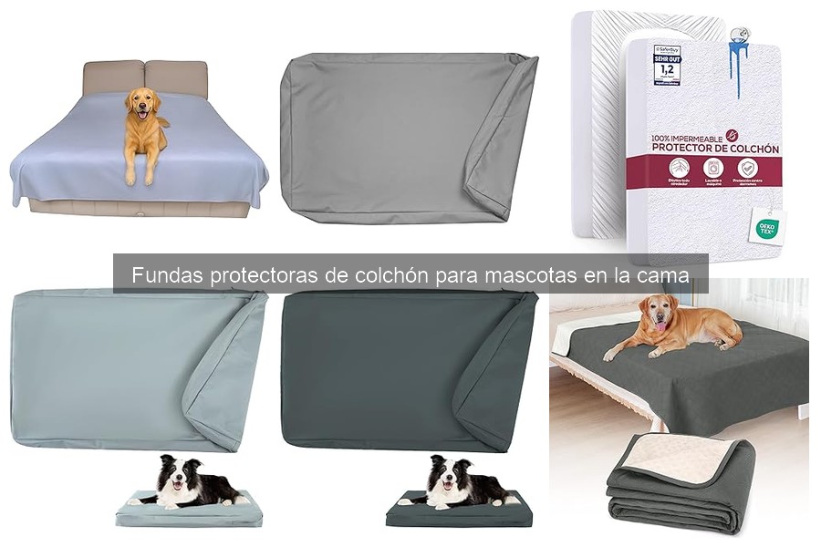 Ventajas de Fundas Protectores de Colchón para Mascotas