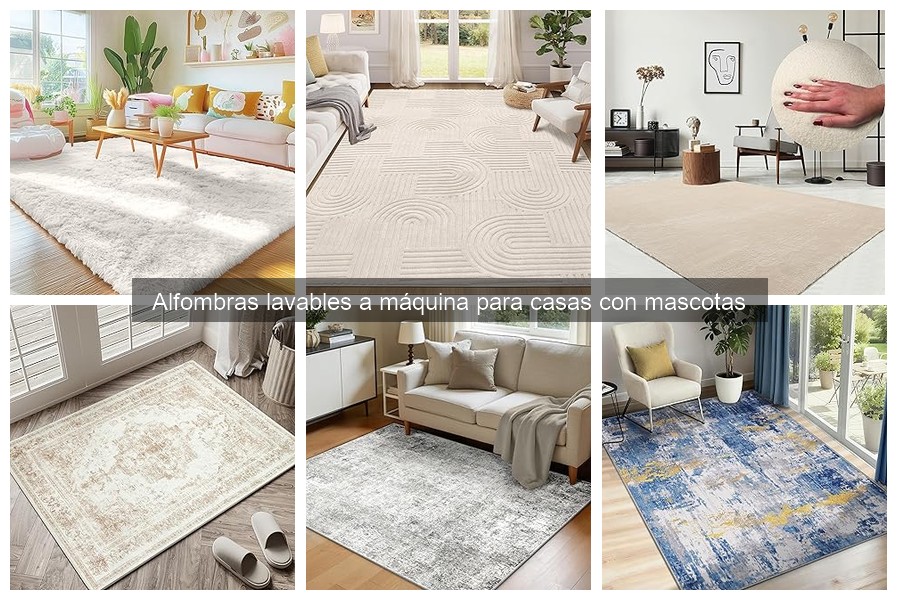 Ventajas de las alfombras lavables para hogares con mascotas