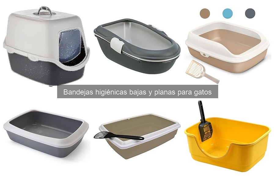 Ventajas de las bandejas higiénicas bajas para gatos