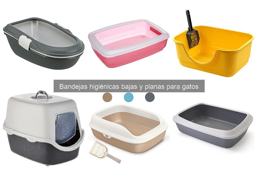Ventajas de las bandejas higiénicas planas para gatos