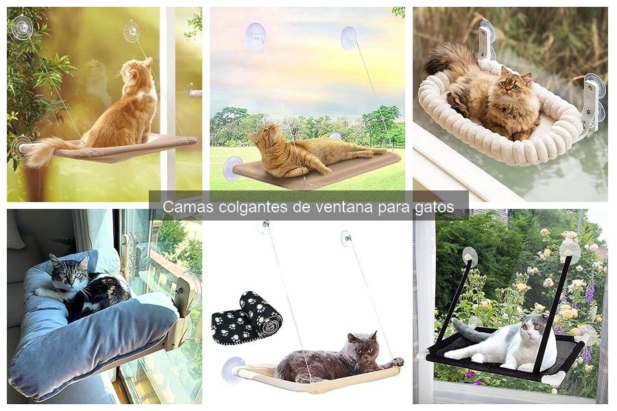 Ventajas de las camas colgantes de ventana para gatos