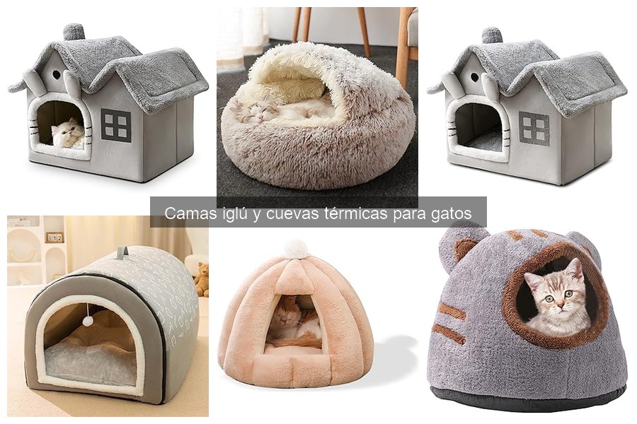 Ventajas de las camas iglú para gatos en hogares pequeños