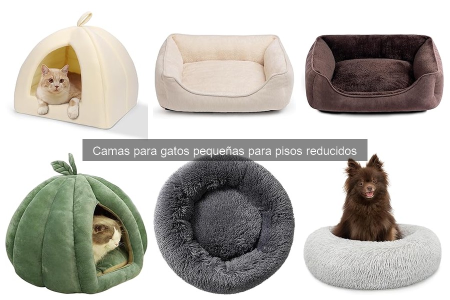 Ventajas de las camas para gatos pequeñas en pisos reducidos