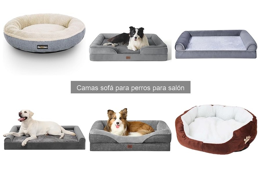 Ventajas de las camas sofá para perros en pisos pequeños