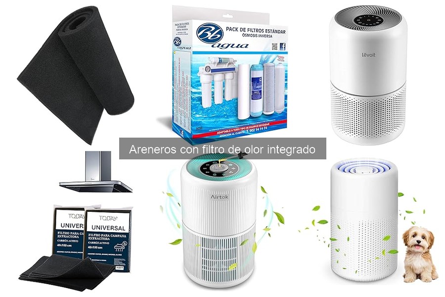 Ventajas de los areneros con filtro de olor para mascotas