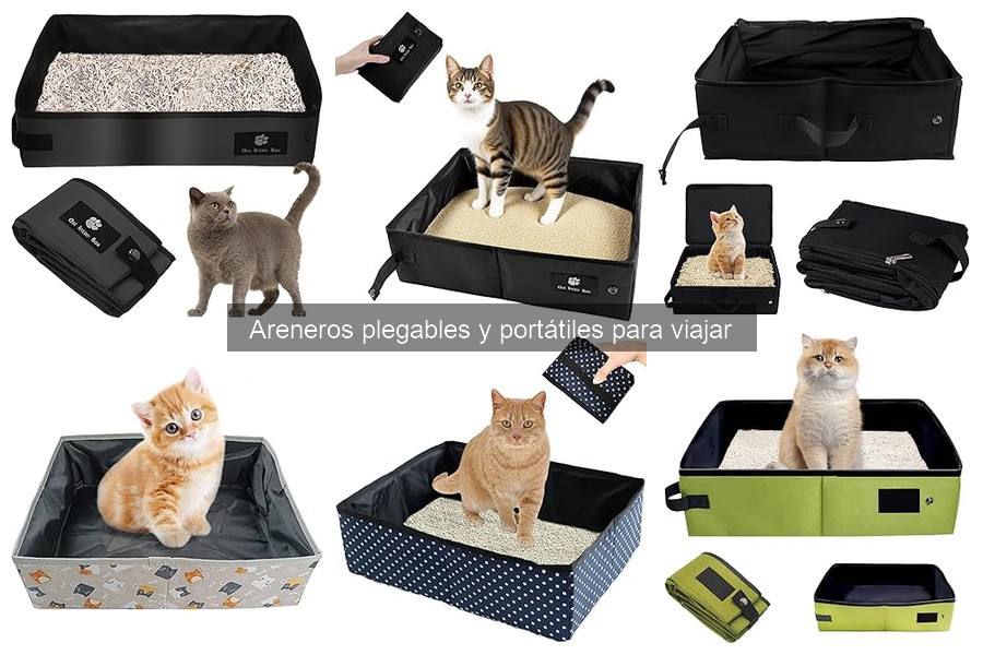 Ventajas de un arenero plegable para viajes con gatos
