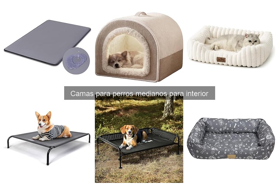 Ventajas de usar camas para perros medianos en casa