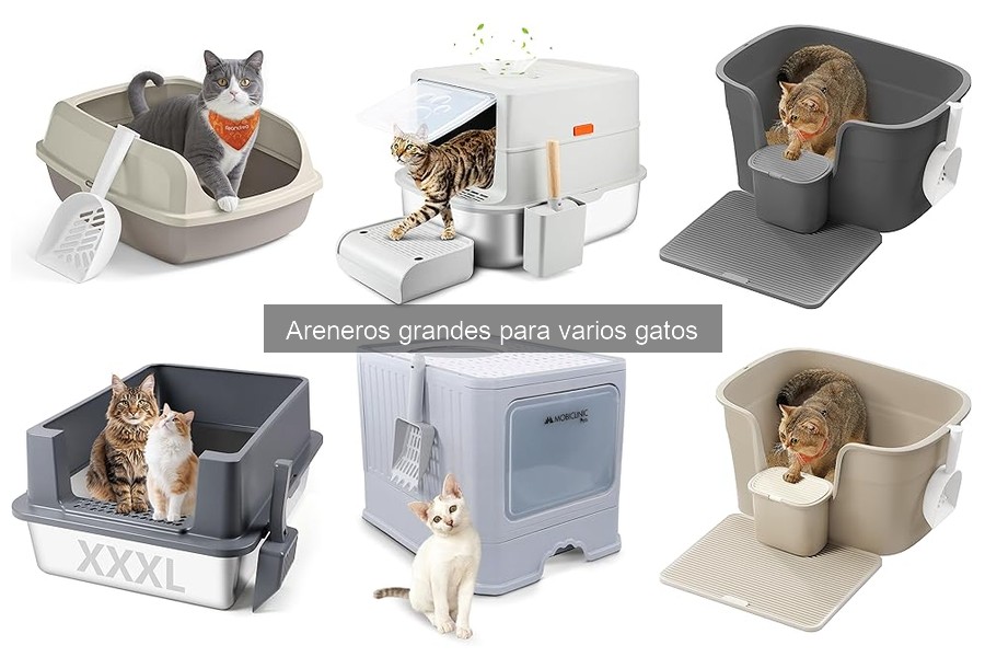 Ventajas del Arenero Grande para Gatos en Casa