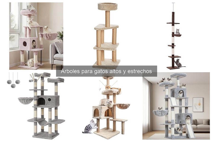 Ventajas y desventajas de árboles para gatos altos y estrechos